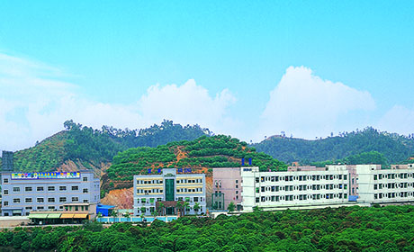公司简介2